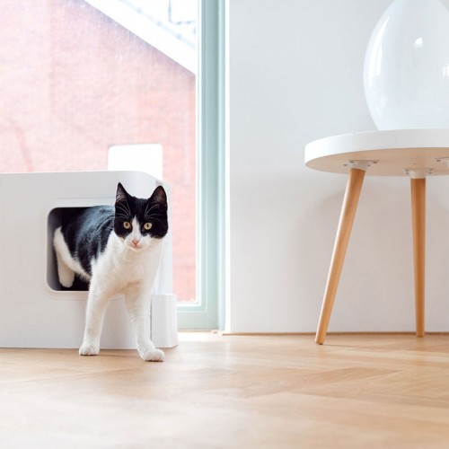 Litière design pour chat blanc