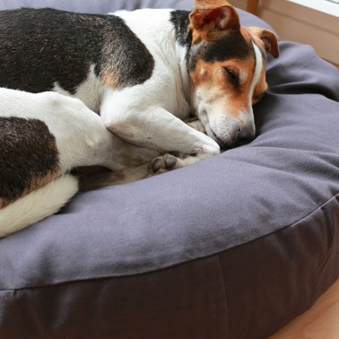 coussin pour chien écologique gris anthracite