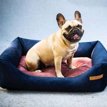 coussin chien bleu marine