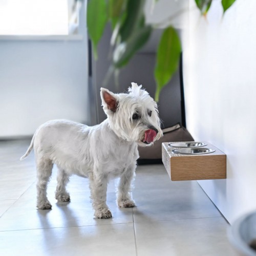 Petite gamelle chien surélevée en bois