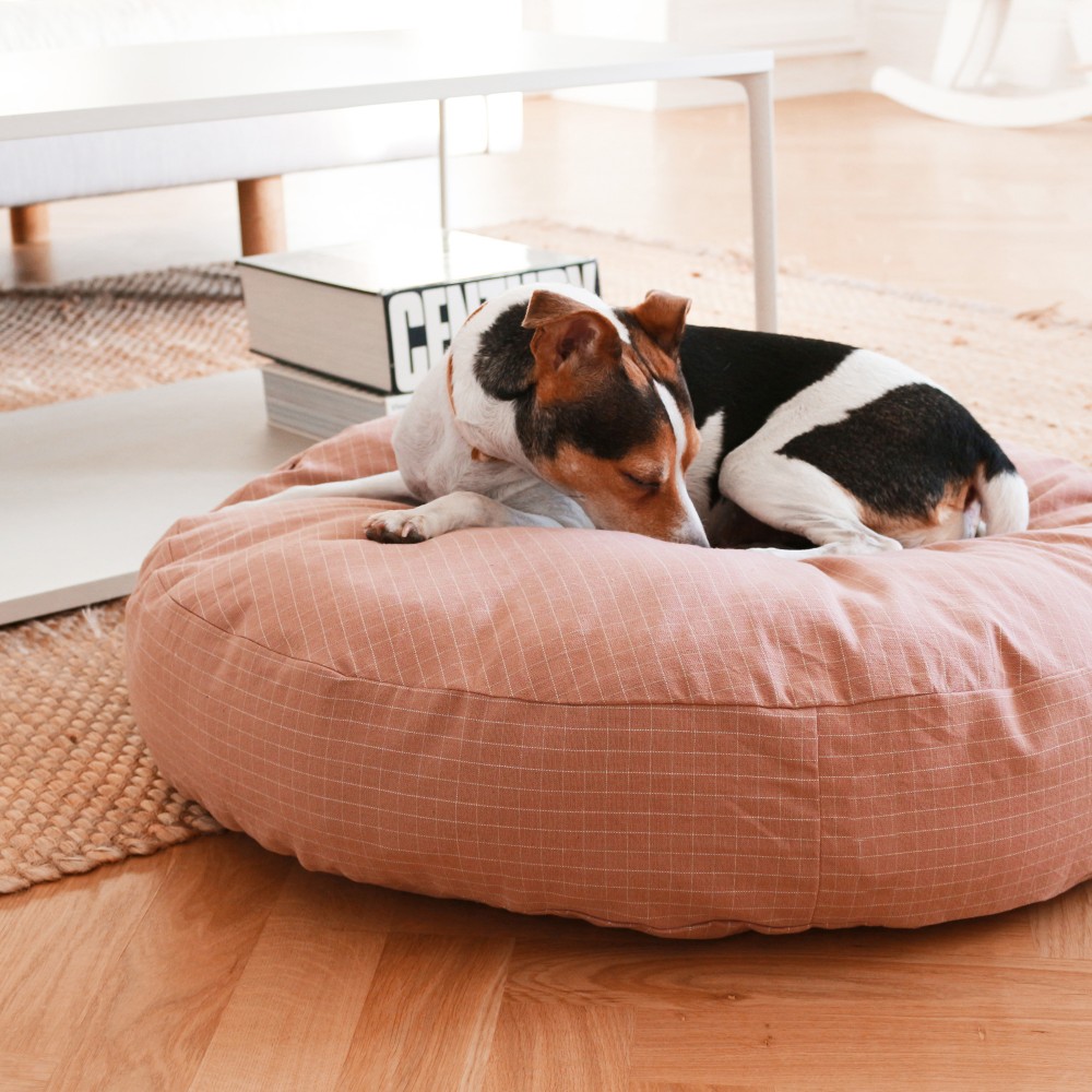 coussin rond jack russel terrier