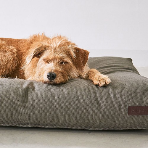 Coussin De Voyage Chien