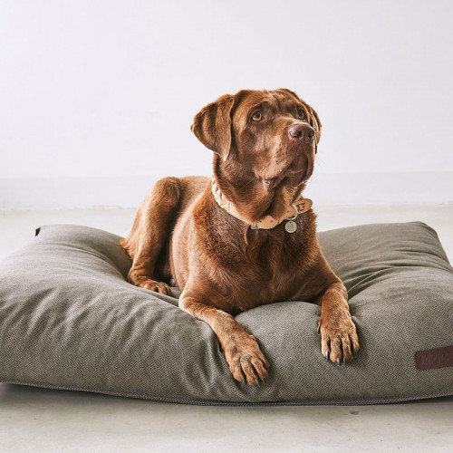 coussin chien haut de gamme