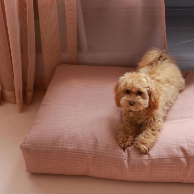 coussin chien rose