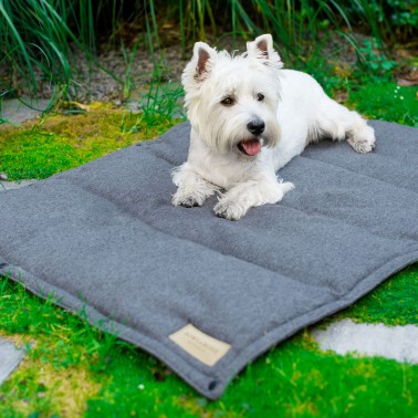 Tapis d'extérieur pour animaux de compagnie imperméable à l'eau Tapis de  sol pliable Pour chien Voyage Anti-sale Tapis de voiture avec sac de  rangement