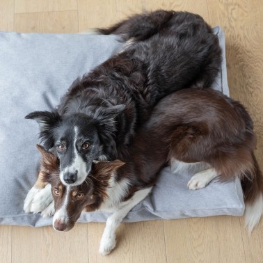 grand coussin confortable pour chien