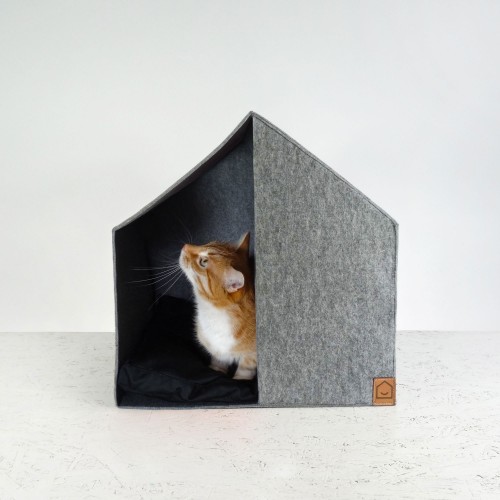 maison chat design Pila