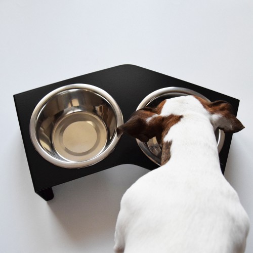 gamelle design chien