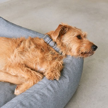 Panier chien écologique