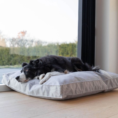 grand coussin chien gris