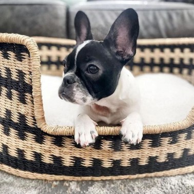 panier chien osier bouledogue français