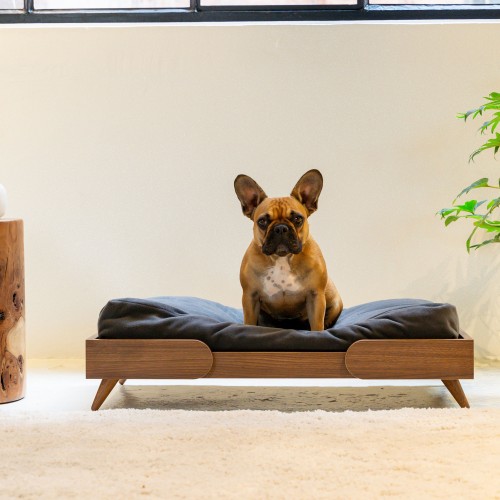 canapé design pour chien Kan