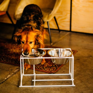 Gamelle surélevée pour grand chien