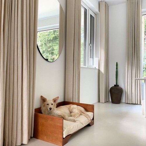 canapé luxe chien