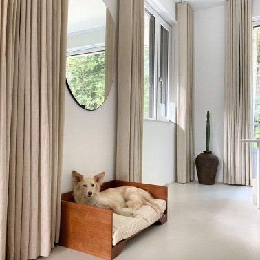 canapé luxe chien