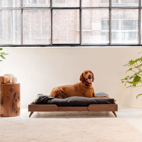 Canapé pour chiens design et confort