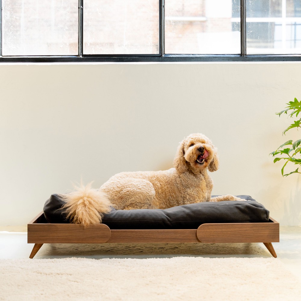 King - canapé chien design en bois et coussin moelleux amovible,  88x56,5x30cm