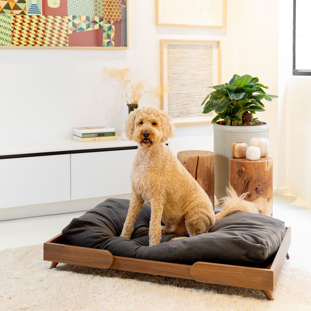 Grand canapé design pour chien