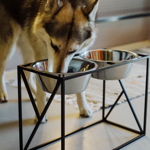 grande gamelle surélevée pour chien