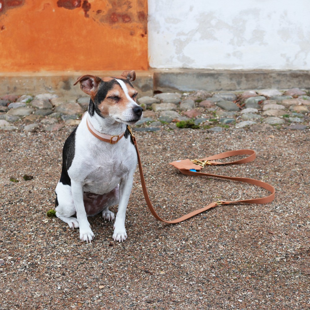 Harnais chien en 8 réglable et imperméable, métal noir Mellem - Bagane