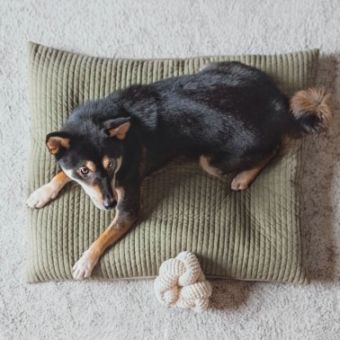 jouet chien lambwolf collective