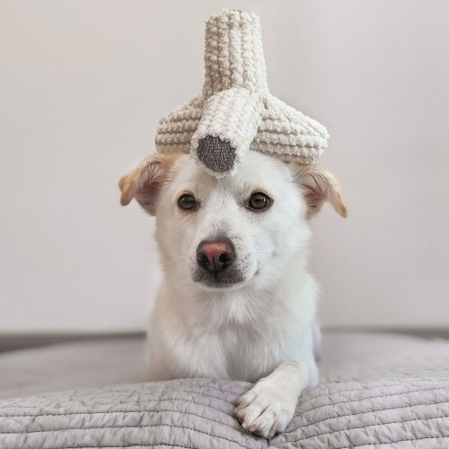 Jouet pour chien Lambwolf collective