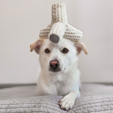 Jouet pour chien Lambwolf collective