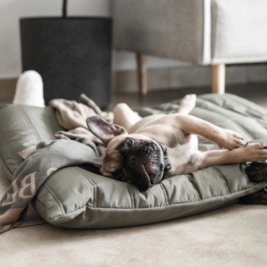 coussin chien confortable