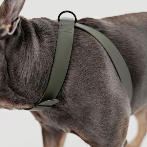 Harnais chien en 8 réglable et imperméable, métal noir Mellem - Bagane