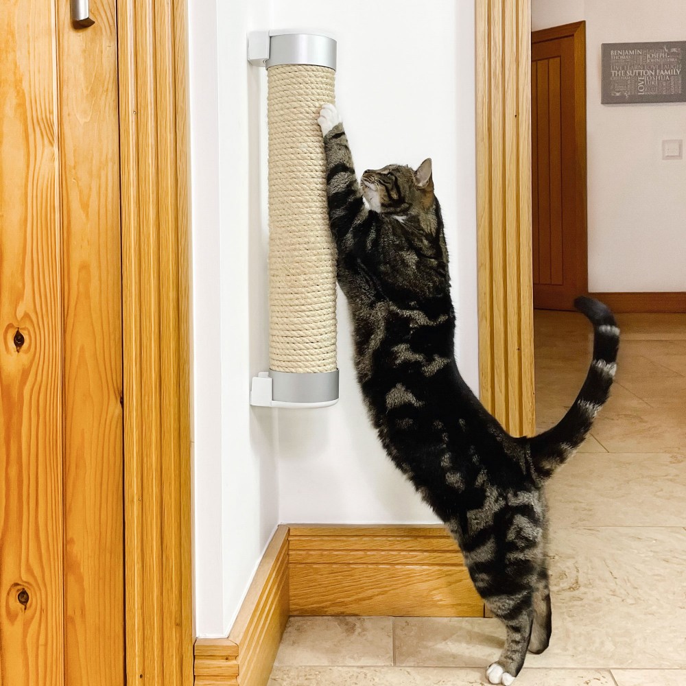 Set de 3 balles de jeu pour chat en feutre de laine Bala - Bagane