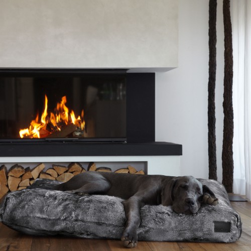 coussin grand chien