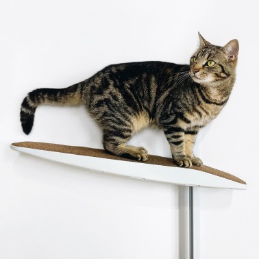 grand arbre à chat compacte