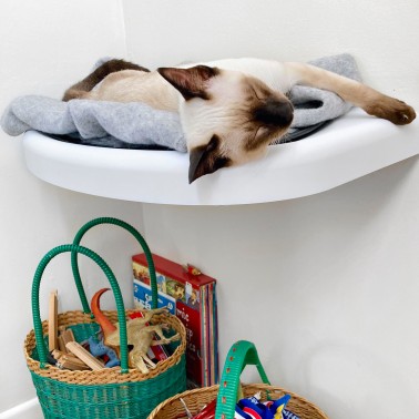 étagère chat design