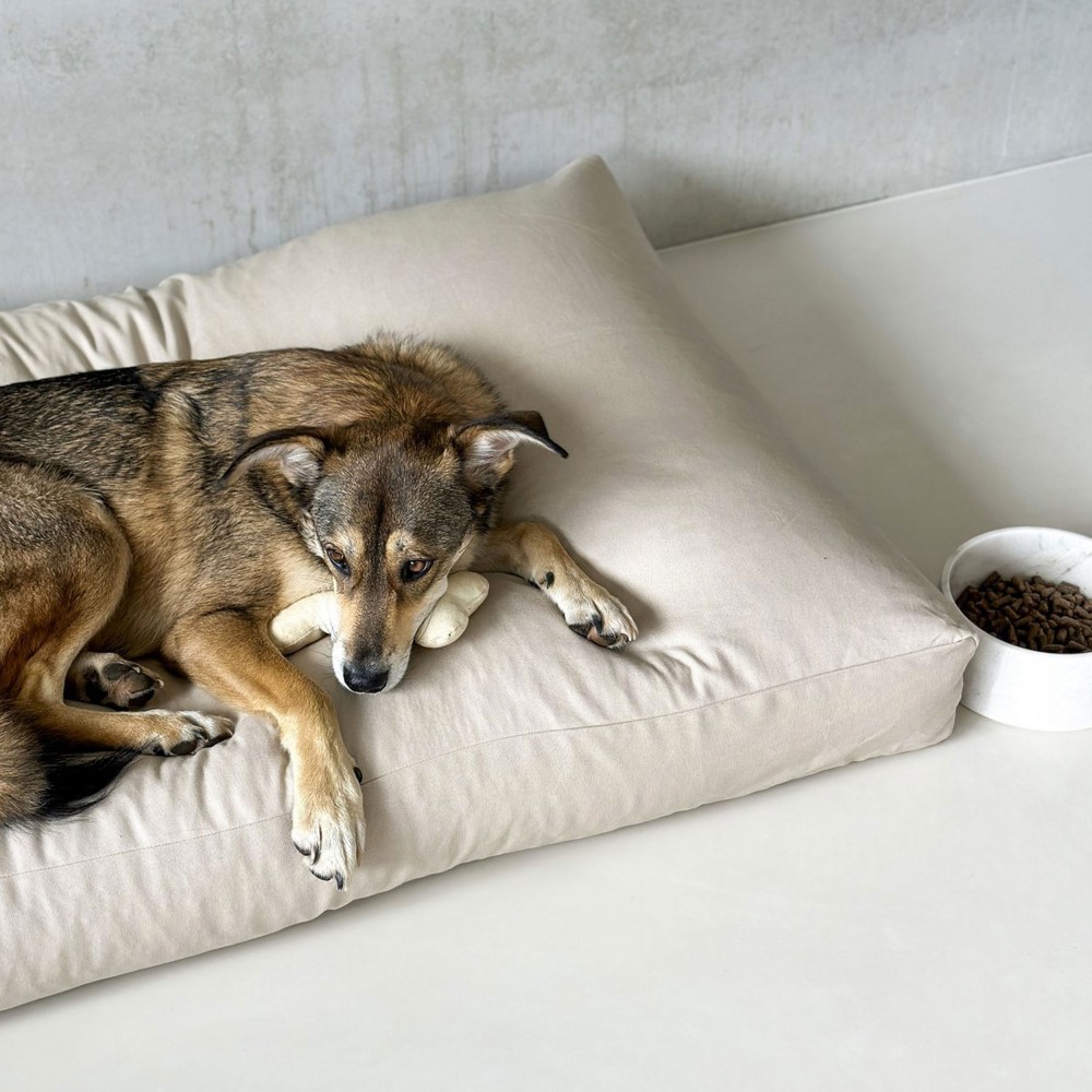 Coussin grand chien à mémoire de forme en tissu beige, Star - Bagane