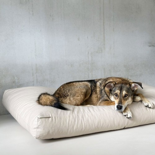 coussin chien xxl