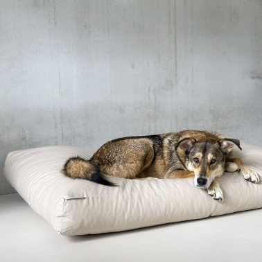 coussin chien xxl