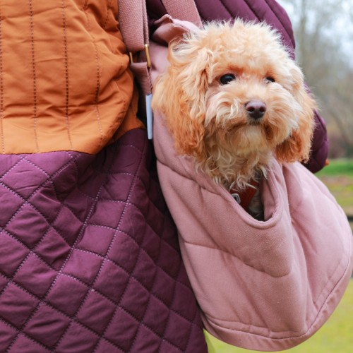 sac transport chien rose