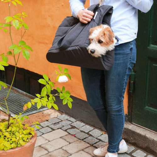 sac transport chien gris foncé