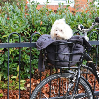 sac transport chien vélo