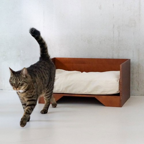 canapé lit chat design