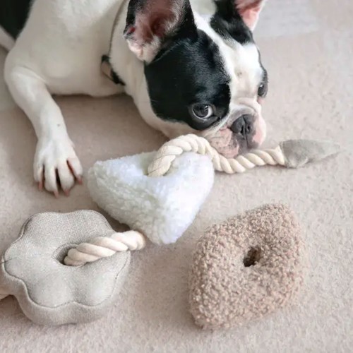 joli jouet pour chien