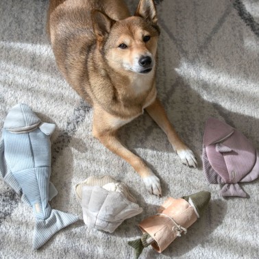 Trouut - Jouet de fouille et d'enrichissement pour chien, forme poisson