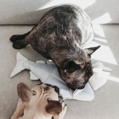 Trouut - Jouet de fouille et d'enrichissement pour chien, forme poisson