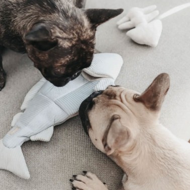 Trouut - Jouet de fouille et d'enrichissement pour chien, forme poisson