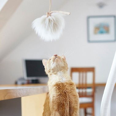 jouet pompon pour chat