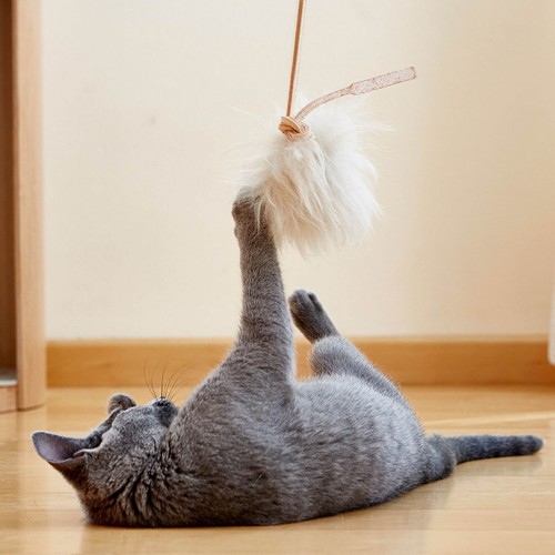 joli jouet pour chat pompon et lanière cuir