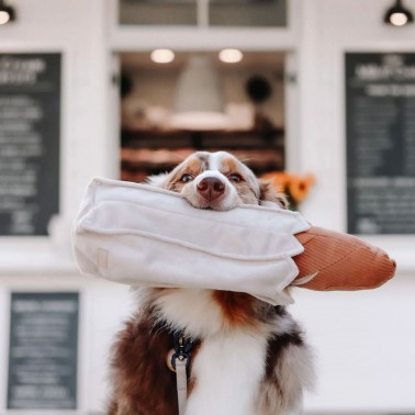 gros jouet d'occupation pour chien