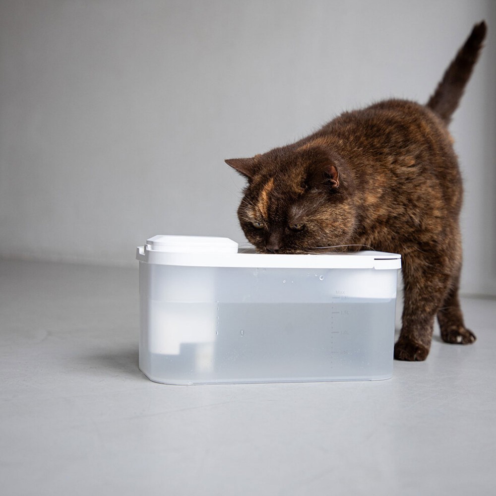 Fontaine à eau pour chat sans fil avec lampe UVC, Akoi - Bagane