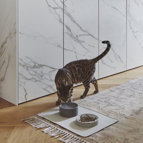Jolie gamelle beige anti-glouton pour chat