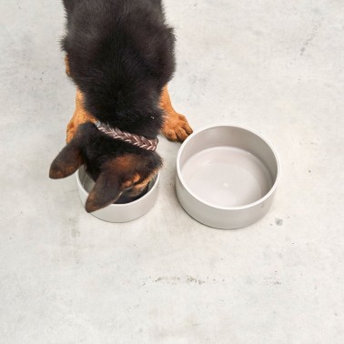 Gamelle chien en porcelaine beige